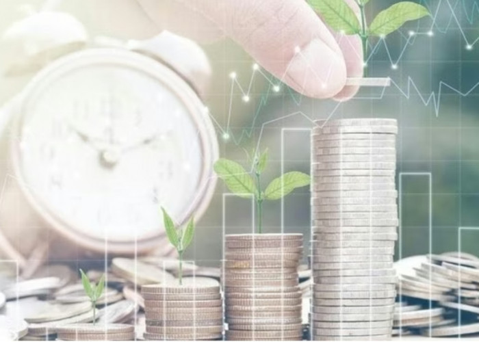 5 Daerah Sumsel Jadi Tujuan Investasi, OKI dan Palembang Tertinggi