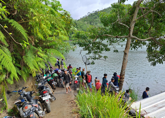 Warga Ramai-Ramai Tangkap Ikan Mabok  di Danau Rakihan