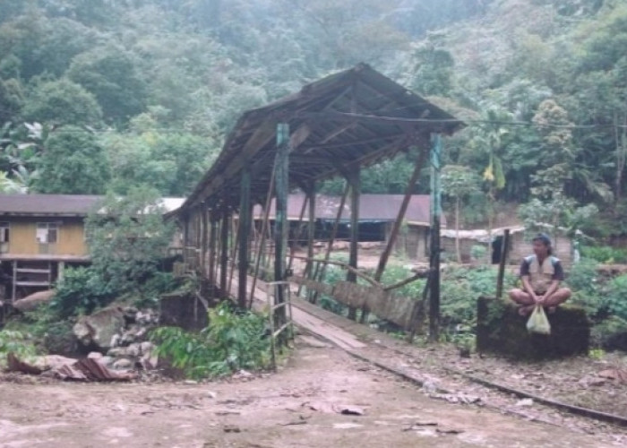 Lebong Tandai, Sebuah Desa Tersembunyi Tetapi Menyimpan Kekayaan Terbesar 