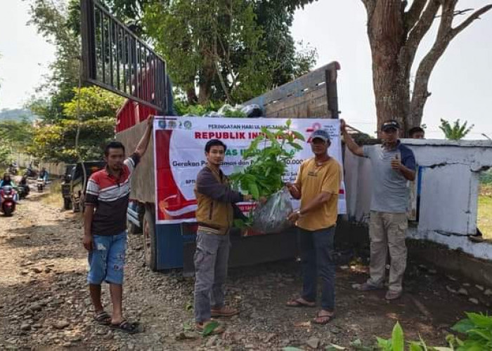 Kecamatan Kisam Tinggi Terima Bantuan Bibit Pohon untuk Penghijauan