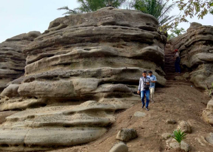 Wisata Bukit Saka Sawit Buay Pemaca OKU Selatan, Tempat Indah Namun Mistis yang Menarik Untuk Dikunjungi