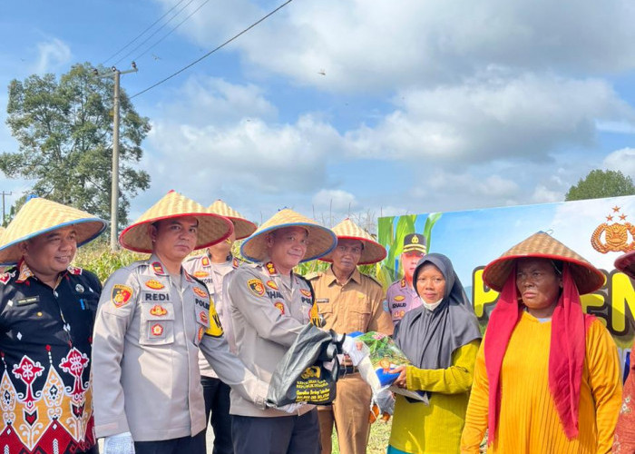 Polres OKU Selatan Gelar Panen Raya Jagung Bersama Warga