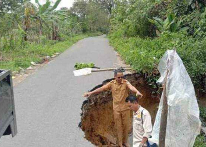 Jalan Terbis di Tebing Paoh Makan Setengah Badan Jalan