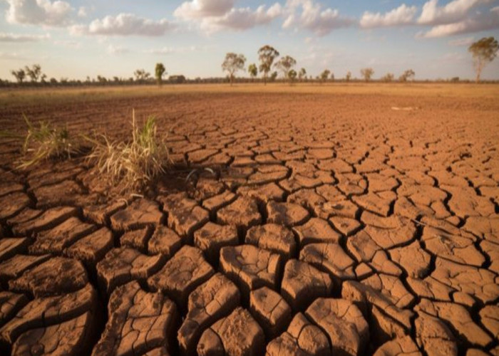 Kemarau di Sumsel Diprediksi Mulai Mei, Berlangsung hingga 5 Bulan