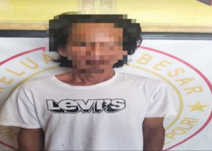 Kepergok Saat Patroli, Pria 46 Tahun Gasak Brondolan Sawit di Lengkiti