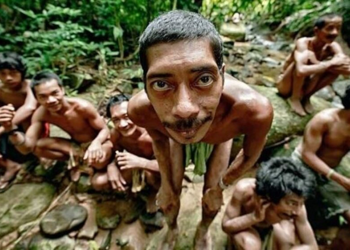 Kisah Suku Anak Dalam, Penjaga Tradisi Primitif di Hutan Rimba Sumatera