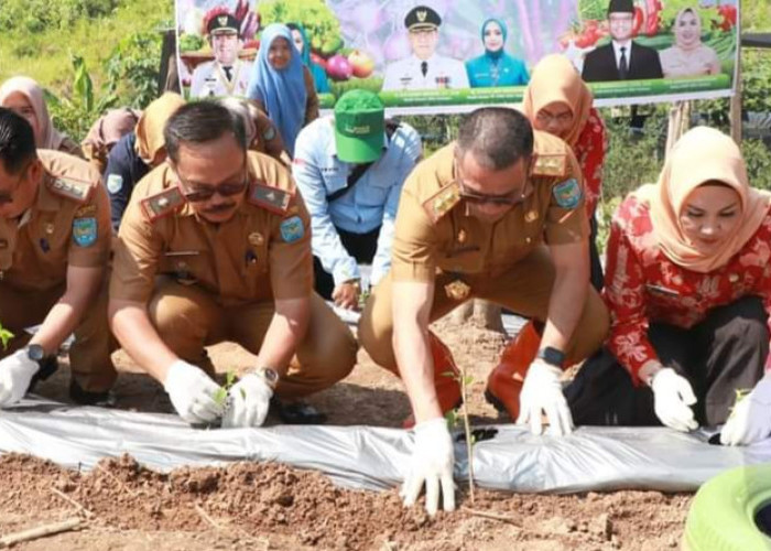 Pemkab OKU Selatan Ikuti Tanam Cabai Serentak