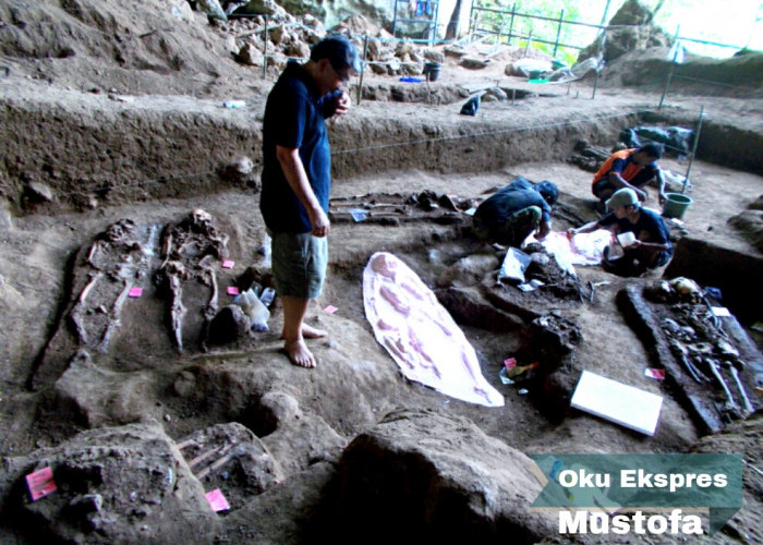 Museum Purbakala Terbesar di Indonesia Ternyata Ada di OKU