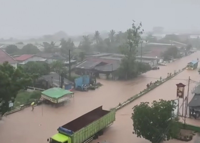 Waspada, Bandar Lampung Dikepung Banjir: Jalan Tergenang, Evakuasi Dramatis di Tengah Arus Deras