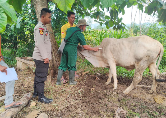 Dinas Peternakan Siap Berikan Vaksin Hewan Jika Ada Permintaan