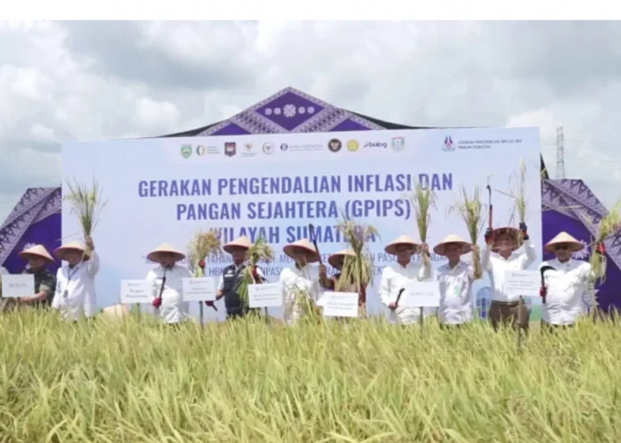 Pemerintah Percepat Realisasi Program Strategis Nasional, Fokus Infrastruktur dan Ketahanan Pangan