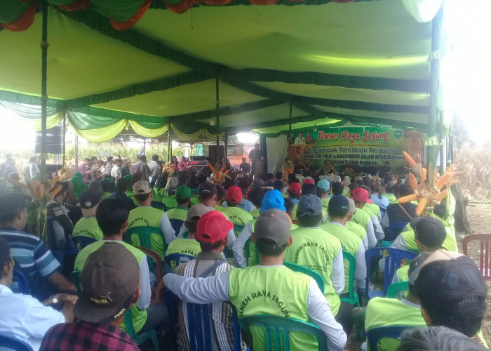 Masyarakat Desa Karang Agung dan Lubar Harapkan Akses Jalan Yang Bagus di Daerah Talang Tengah