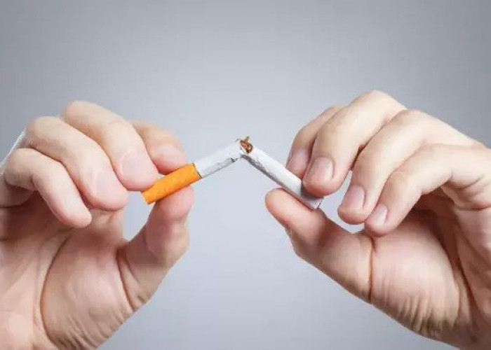 Cobalah Tinggalkan Rokok, Ada 9 Perubahan Positif Bisa Dirasakan Setelah Berhenti