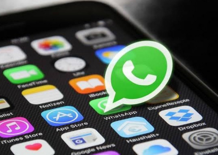 Wow...  WhatsApp Bisa Kirim Pesan dan Video Call Tanpa Internet