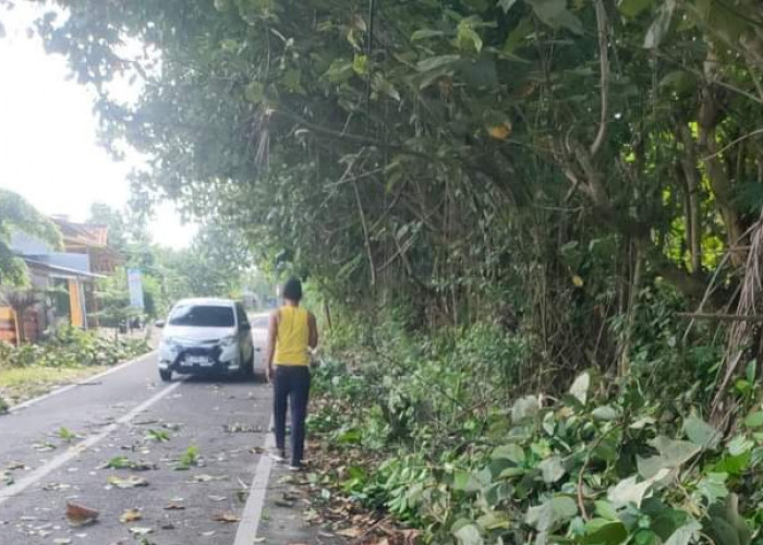 Warga Bersihkan Ranting Pohon, Agar Lingkungan Lebih Sehat dan Jalan Raya Lebih Aman