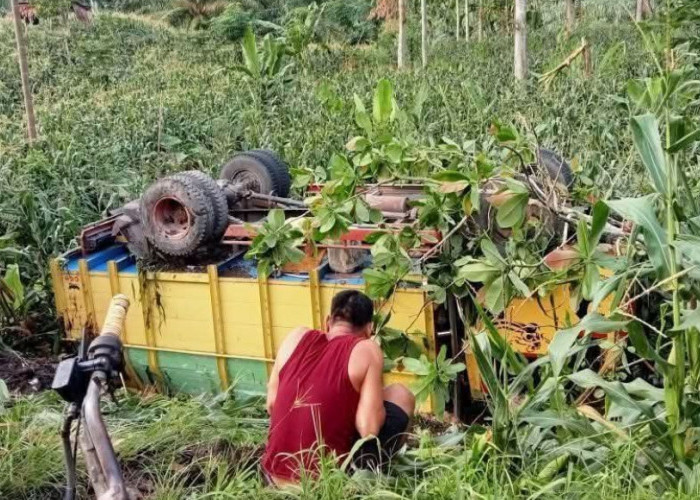 Mobil Pengangkut Bata Terperosok di Tanjung Beringin, Jalur Muaradua–Ranau Sempat Terganggu