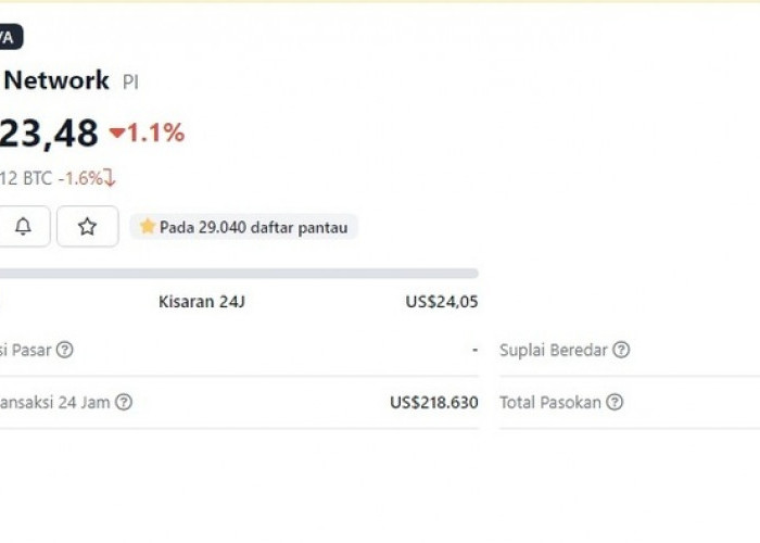 Harga Pi Network Turun Hari Ini di Coingecko