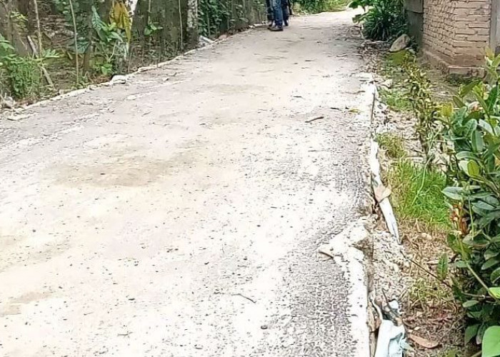 Belum Setahun Dibangun, Jalan Setapak Hasil Dana Desa Rusak Parah