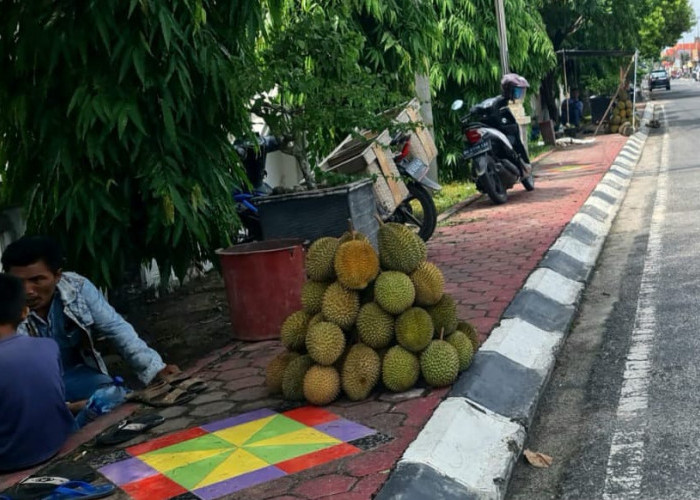Mulai Masuk Musim, Pedagang Buah Durian menjamur di Jalan-Jalan OKU Timur