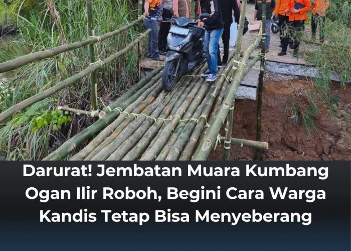 Darurat! Jembatan Muara Kumbang Ogan Ilir Roboh, Warga Kandis Cari Cara Bertahan Menyeberang