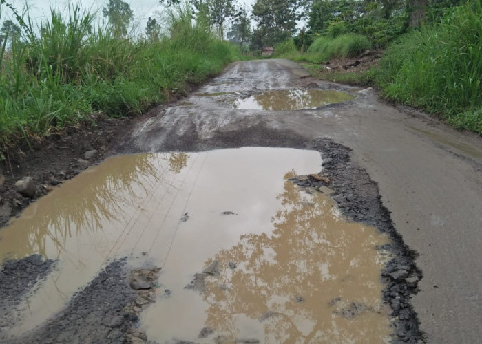 6 Kilometer Jalan Simpang Campang-Desa Pius Rusak Parah