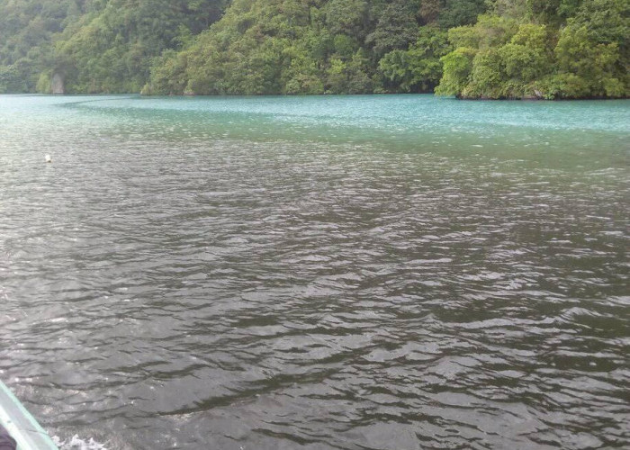 Timbulkan Aroma Busuk Belerang, Air Danau Ranau Berubah Dua Warna Benarkah ni Penyebab Jutaan Ikan Keracunan