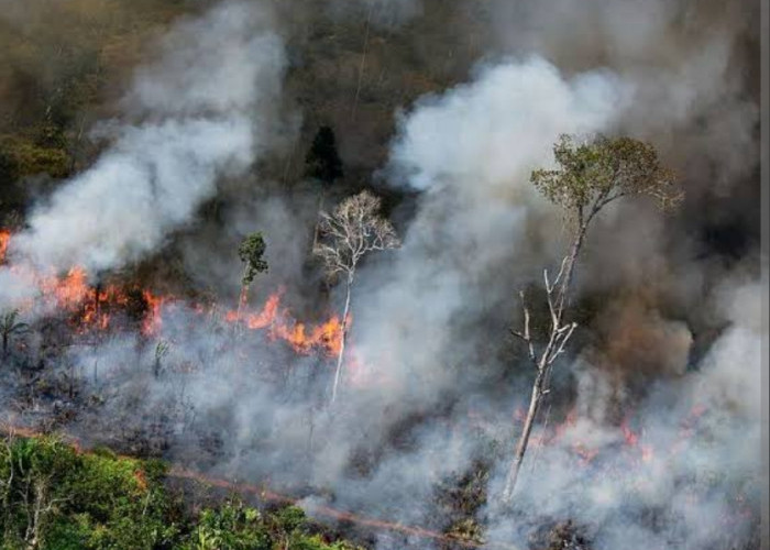 Antisipasi Karhutla, BPBD Lampung Gandeng Sumsel Siagakan Water Bombing