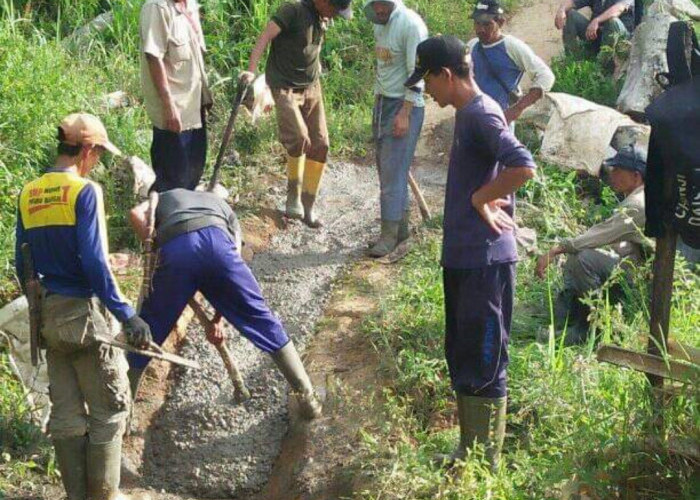 6 Tahun Tanpa Menunggu: Warga Aromantai Swadaya Cor Jalan Kebun, 11 Sak Semen Langsung Dipasang