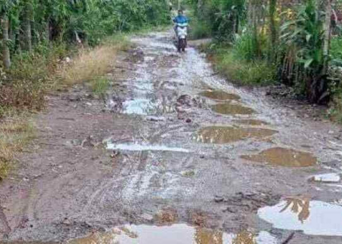 Kondisi Jalan Utama Desa Peninjauan Tampak Seperti Kubangan