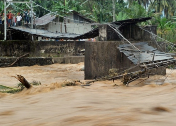 Hujan Deras, 125 RT dan 14 Ruas Jalan di Jakarta Masih Terendam