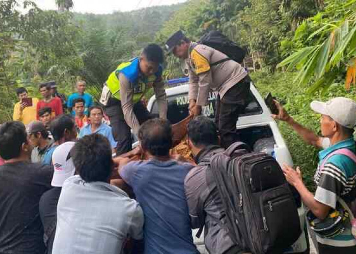 Motor Yang Dikendarai Terjun Bebas ke Jalan Longsor, PPPK Guru Meninggal di Tempat