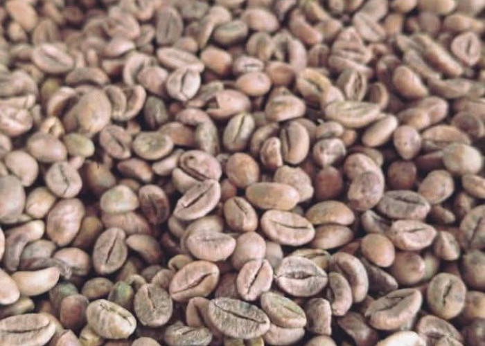 Pasar Kopi Tiongkok Dibanjiri Tren Rasa Buah, Thailand Bidik Peluang Ekspor Bahan Tropis