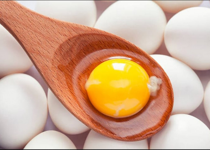 Ada Rahasia Tersembunyi di Balik Kuning Telur, Manfaatnya Wajib Kamu Ketahui!