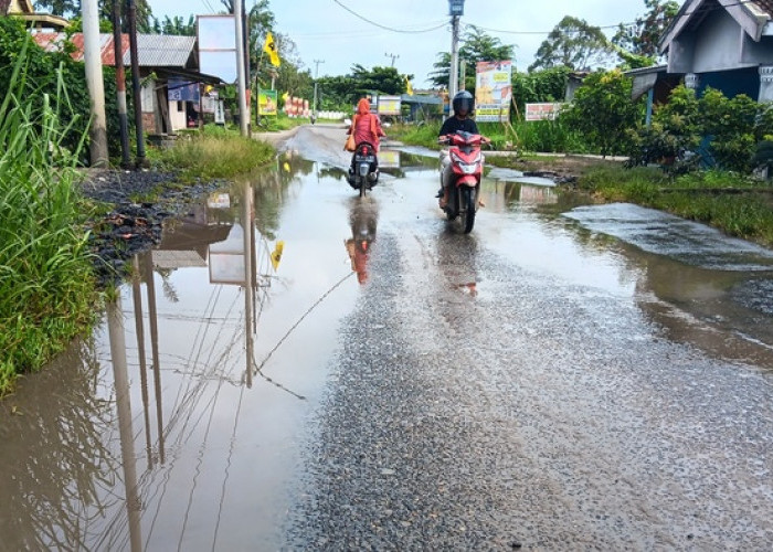 Genangan Air Hambat Lalu Lintas, Warga Desa Sukajaya Minta Dibangun Talud di Jalan Raya Lintas Ranau
