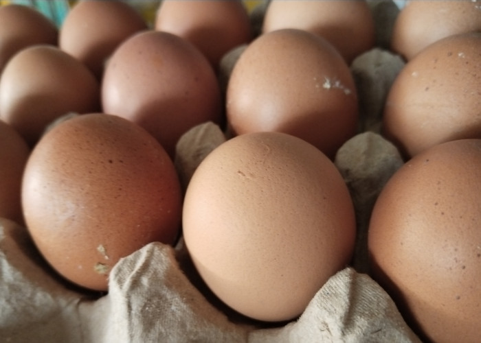 3 Cara Memasak Telur dengan Cepat dan Praktis untuk Sarapan Sehat