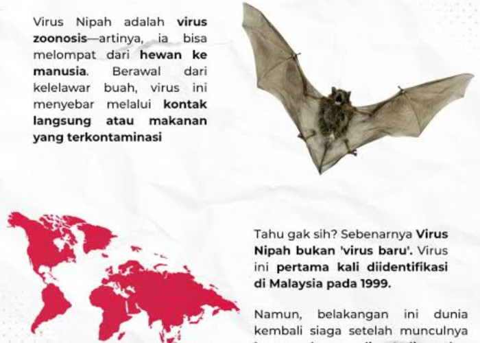 Indonesia Pastikan Tidak Ada Kasus Virus Nipah, Pengawasan Tetap Diperketat