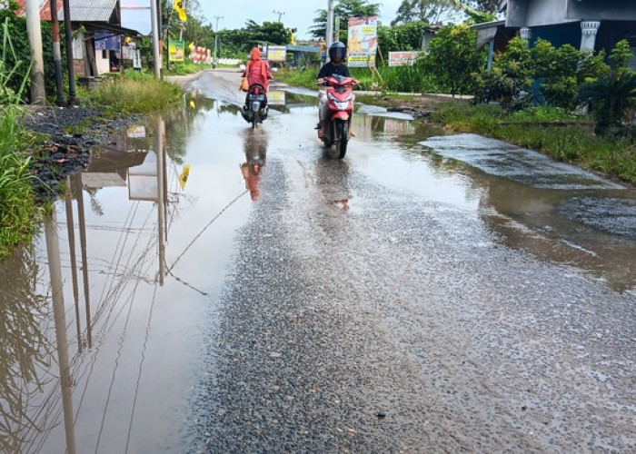  Jalan Lintas Raya Ranau di Desa Sukajaya Terendam Air Tanpa Talud, Pengguna Jalan Keluhkan Kendala