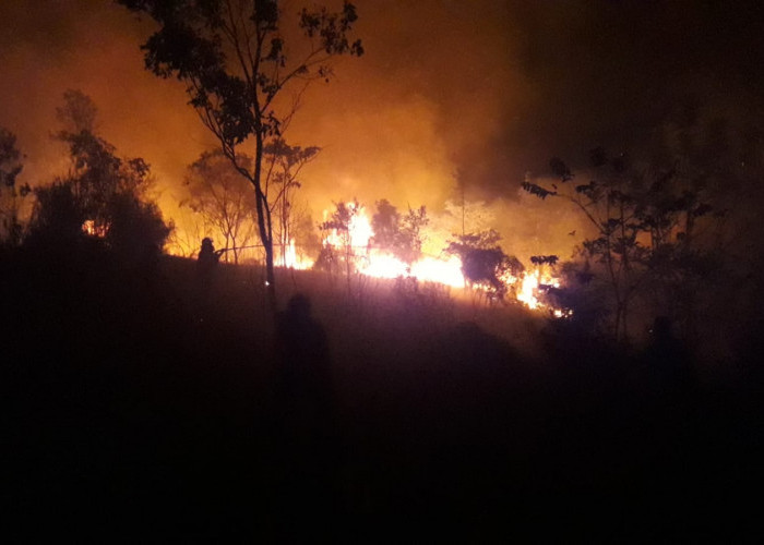 Kebakaran Lahan Semak Belukar Di Dekat Gerbang Pemkab OKU Selatan Dipadamkan
