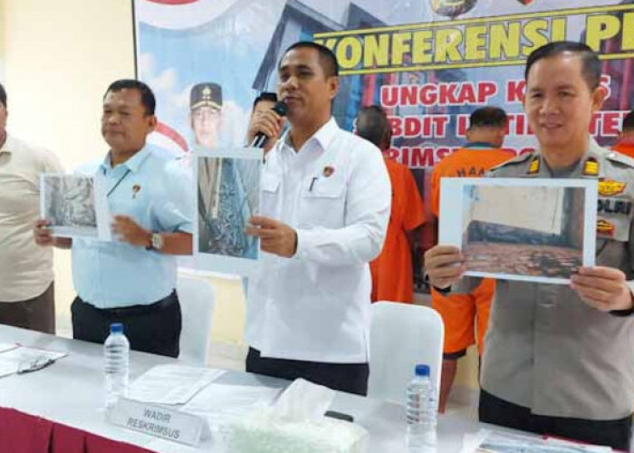 Tiga Pelaku Penangkar 58 Ekor Buaya Muara Segera Jalani Sidang