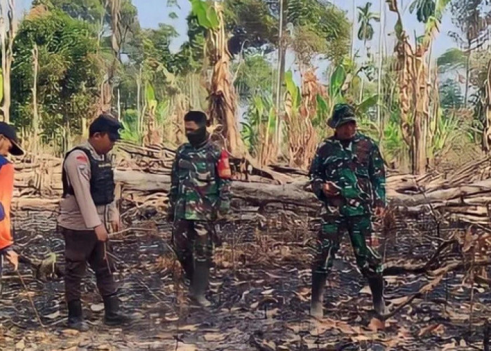 Tiga Kecamatan Di OKUS Rawan Karhutla saat Musim Kemarau