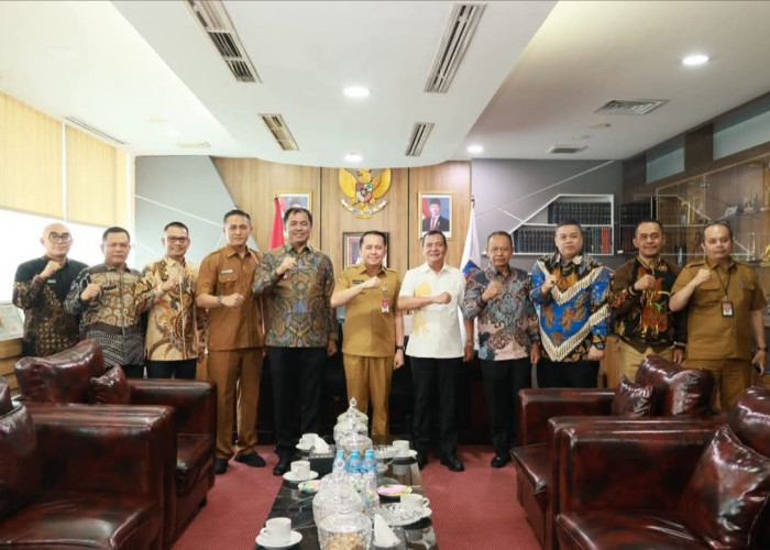 Bupati OKU Selatan Audiensi ke Kemendagri, Perkuat Sinergi Pengelolaan Keuangan dan Pembangunan Daerah