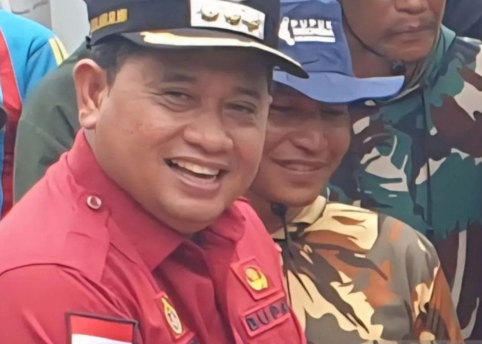 Banyuasin jadikan dua kawasan transmigrasi pusat pertumbuhan