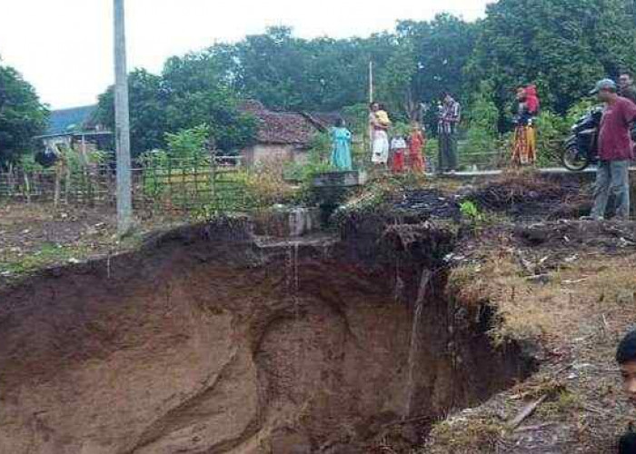 Jalan Talang Padang Nyaris Putus, Camat Akui Belum Tau