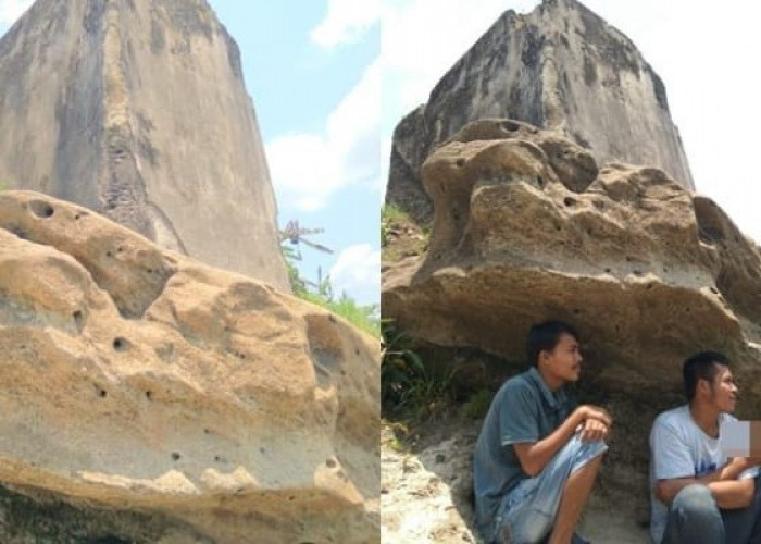 Batu Unik Yang Menyerupai Kodok, Terletak Di Kota Muaradua