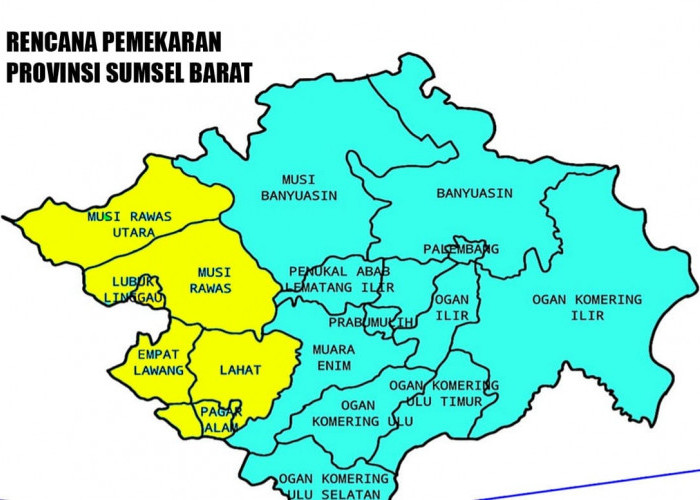 Kata Pengamat Wacana Provinsi Sumsel Barat, Jangan Hanya Memikirkan Menciptakan Raja Baru