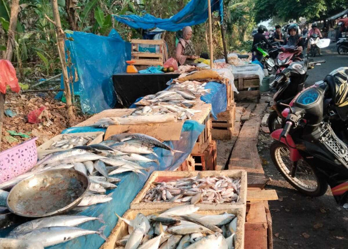 Pasar Saka Selabung Muaradua, Tempat Ibu-ibu Temukan Ikan dan Seafood Segar Harga Terjangkau