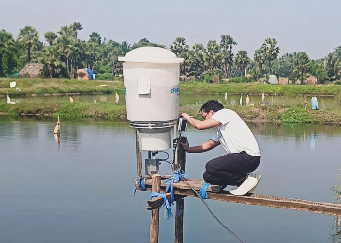 Gibran Huzaifah Dicopot dari eFishery, Diduga Palsukan Laporan Keuangan