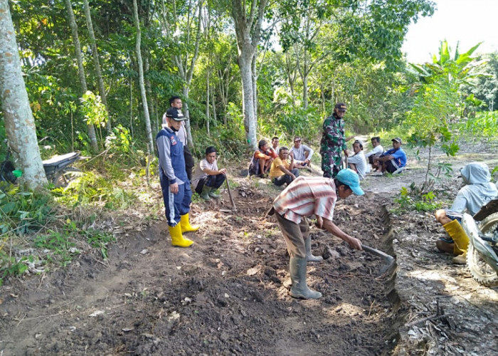 Kompak dan Swadaya Warga Dusun IV Karang Agung Buka Jalan Perkebunan sepanjang 1 Km