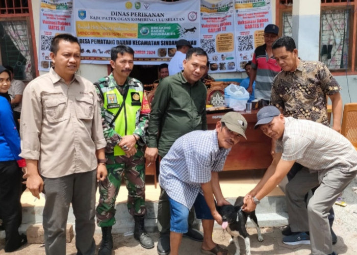 Dinas Peternakan Himbau Pemilik Anjing Segera Vaksinasi Rabies