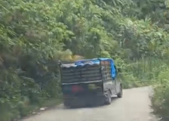 Minyak Mentah Diduga Masuk Mekakau Ilir, Aktivitas Angkutan Jadi Sorotan Warga